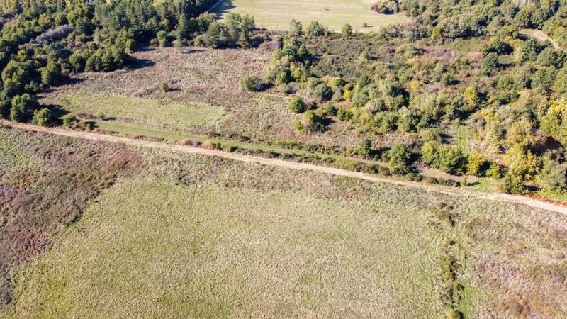 Forêt - 223 455 m²