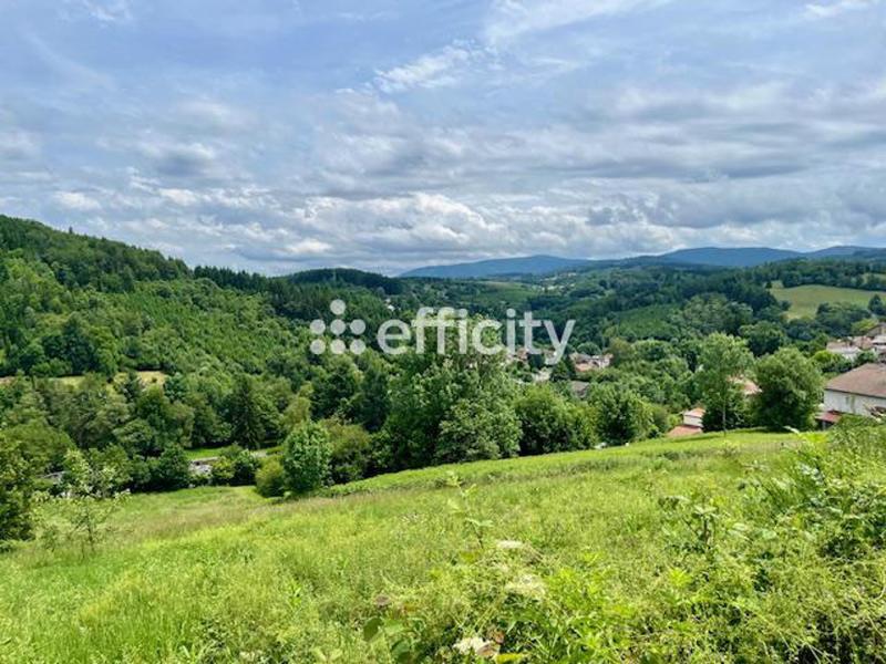 Terrain - 8 300 m²