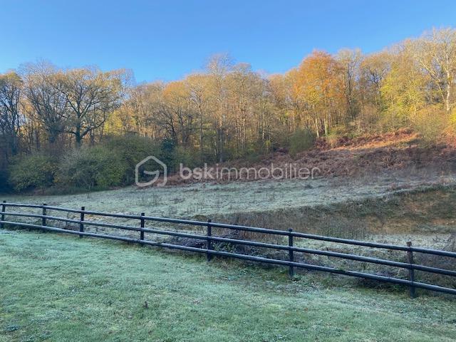 Maison ancienne - 100 m² - 5 pièces