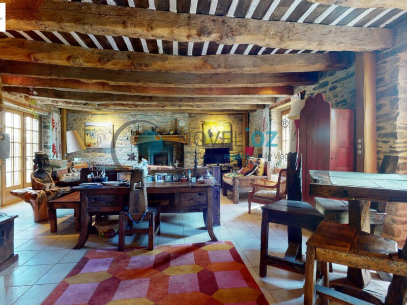 Viager - Maison - 259 m² - 8 pièces