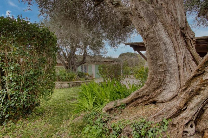 Maison traditionnelle - 140 m² - 6 pièces