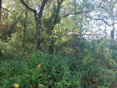 Terrain agricole - 36 175 m²