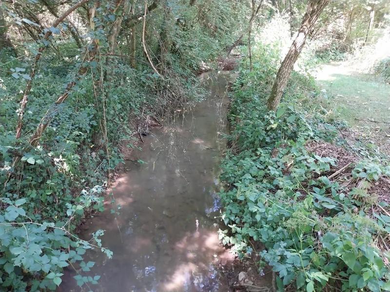 Propriété - 310 m² - 5 pièces