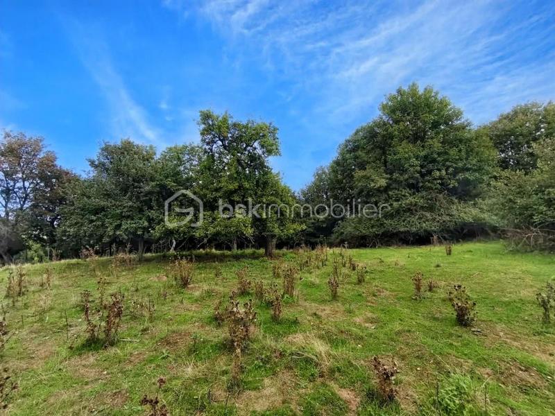 Maison en pierre - 244 m² - 10 pièces