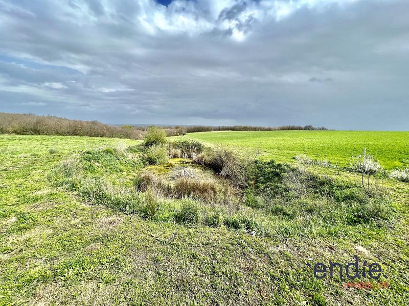 Maison - 165 m² - 7 pièces