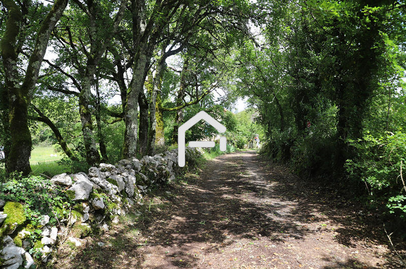 Maison - 474 m² - 15 pièces