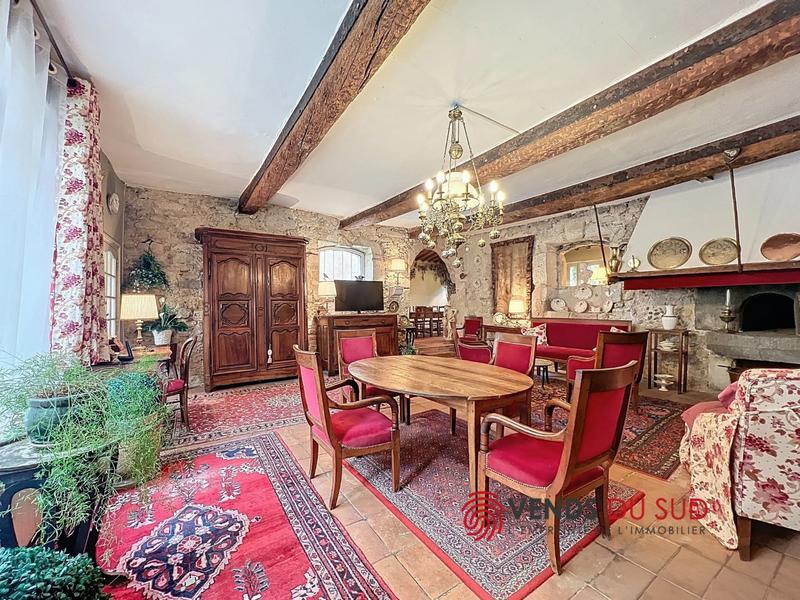 Viager - Demeure - 223 m² - 6 pièces