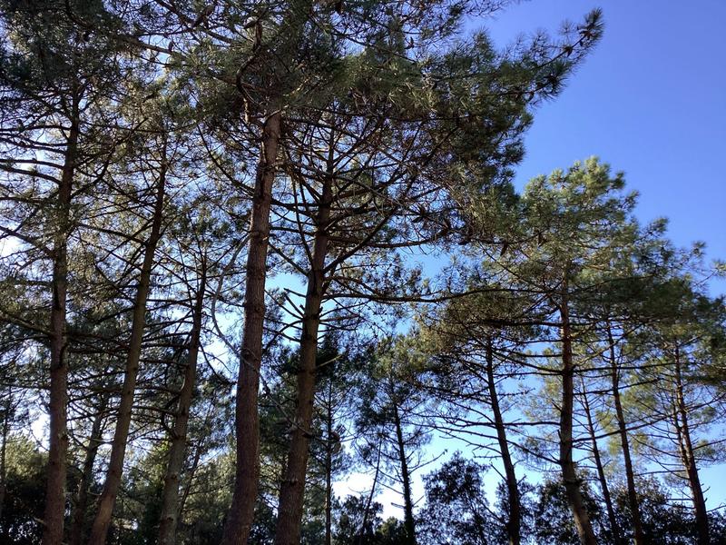 Appartement - 75 m² - 4 pièces