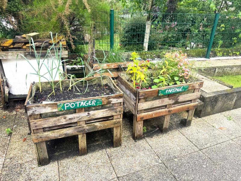 Appartement ancien - 47 m² - 2 pièces