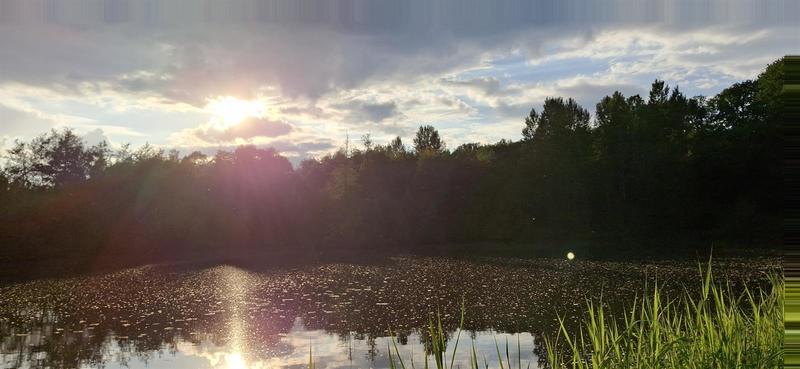 Activité : initiation à la pêche