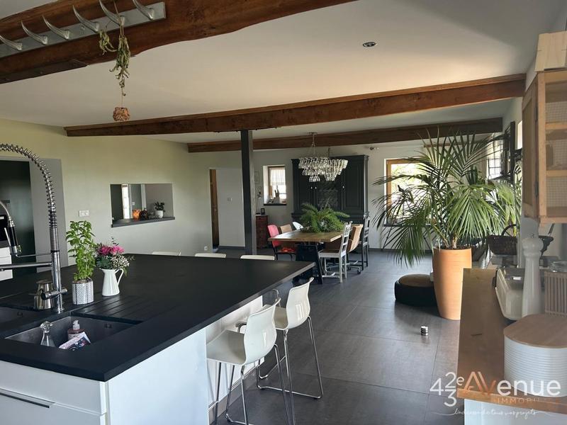 Maison - 375 m² - 10 pièces