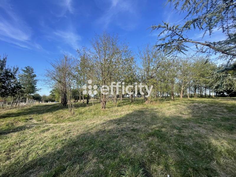 Ferme - 388 m² - 9 pièces