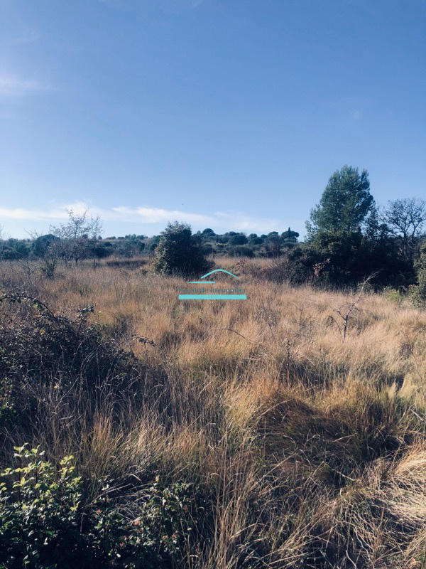 Terrain agricole - 21 172 m²