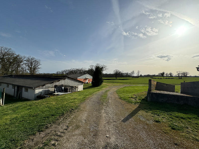 Local d'activité / Entrepôt - 4 518 m²