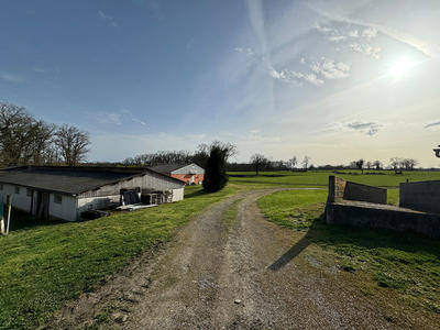 Local d'activité / Entrepôt - 4 518 m²