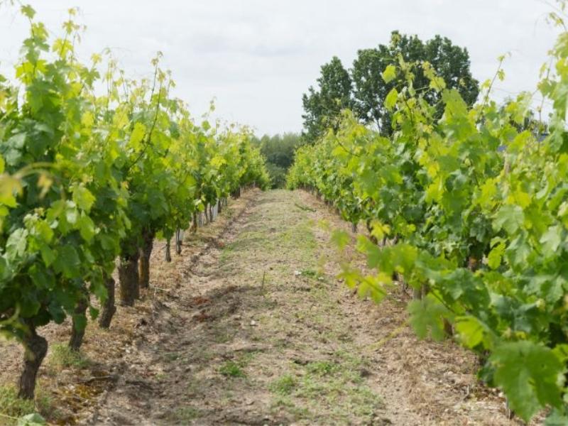 Journée gourmande - Pâques à la ferme
