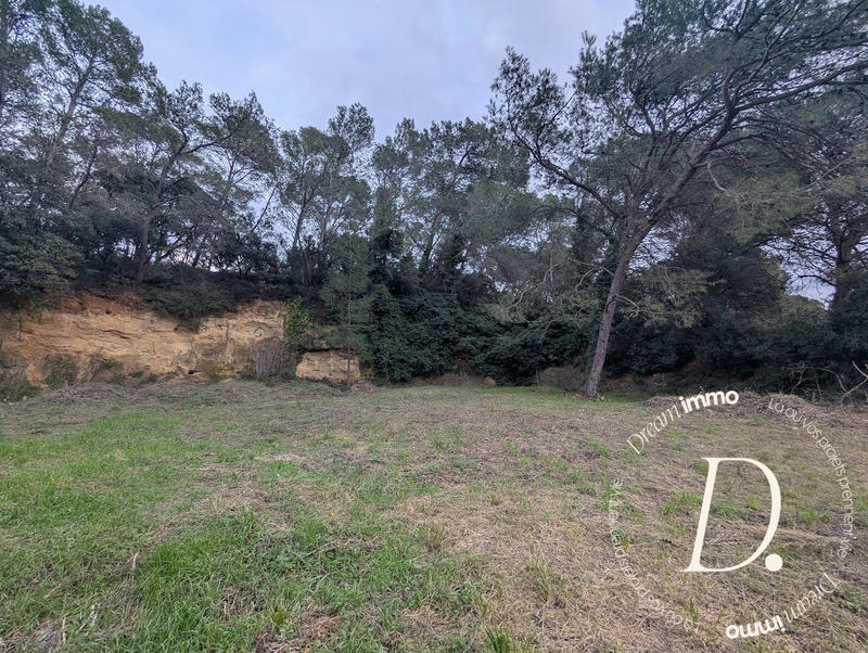 Terrain agricole - 2 000 m²