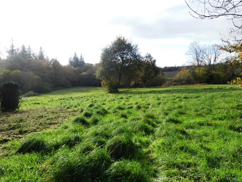 Maison en pierre - 44 m² - 3 pièces