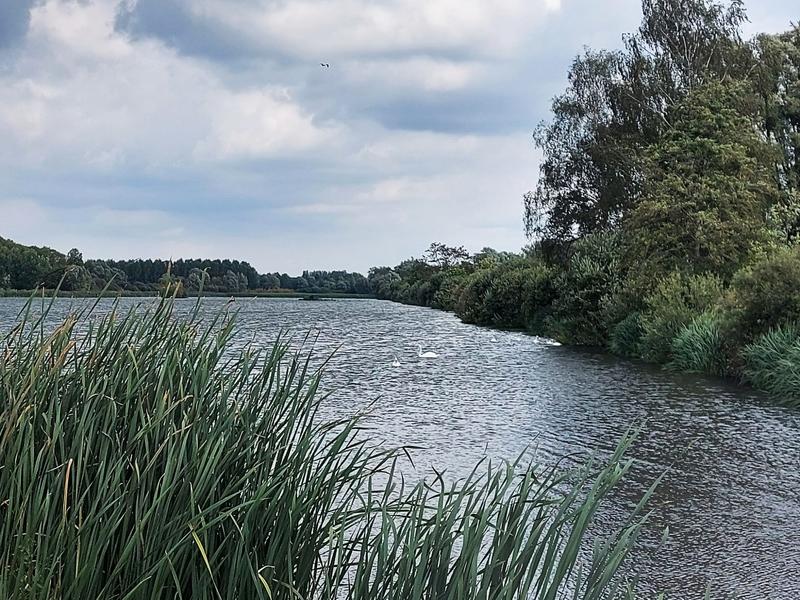 Maison traditionnelle - 145 m² - 9 pièces