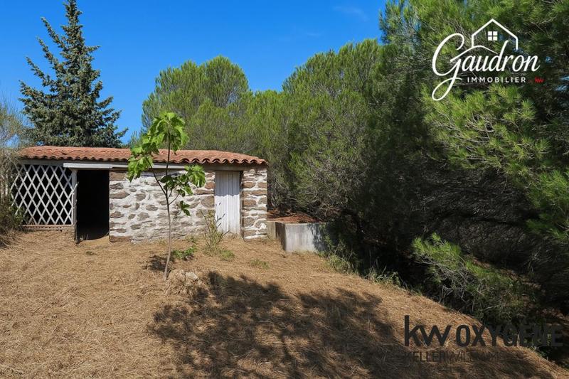 Terrain agricole - 6 070 m²