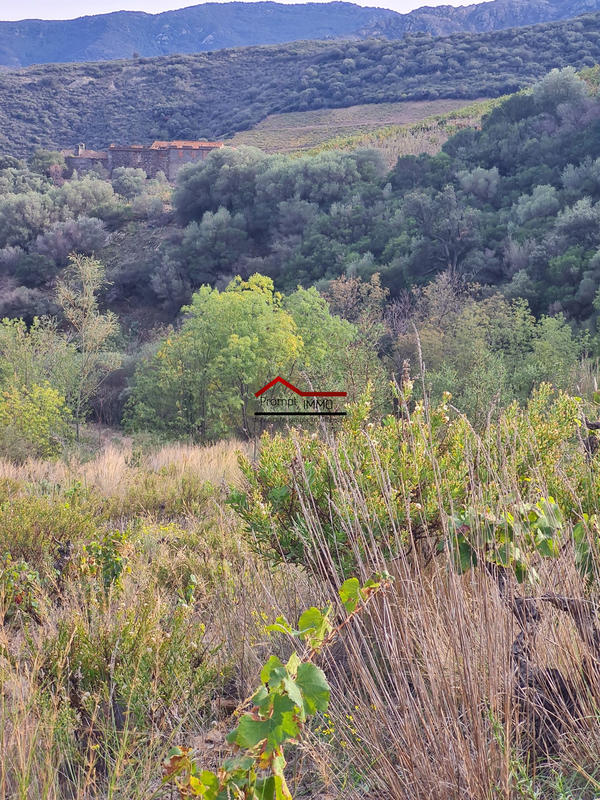 Terrain agricole - 10 225 m²