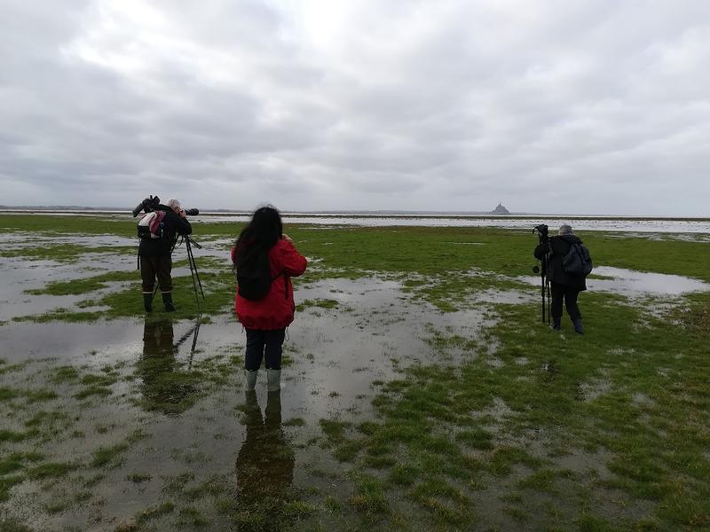 Préservons les zones humides - Sortie prés salés