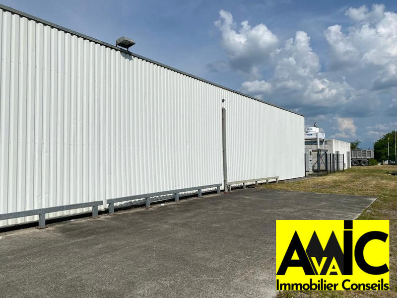 Local commercial - 1 226 m² - 5 pièces