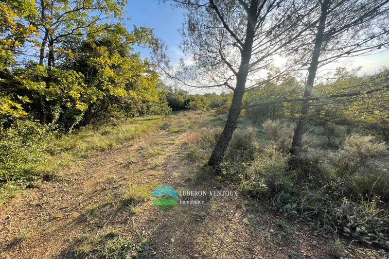 Terrain agricole - 7 600 m²