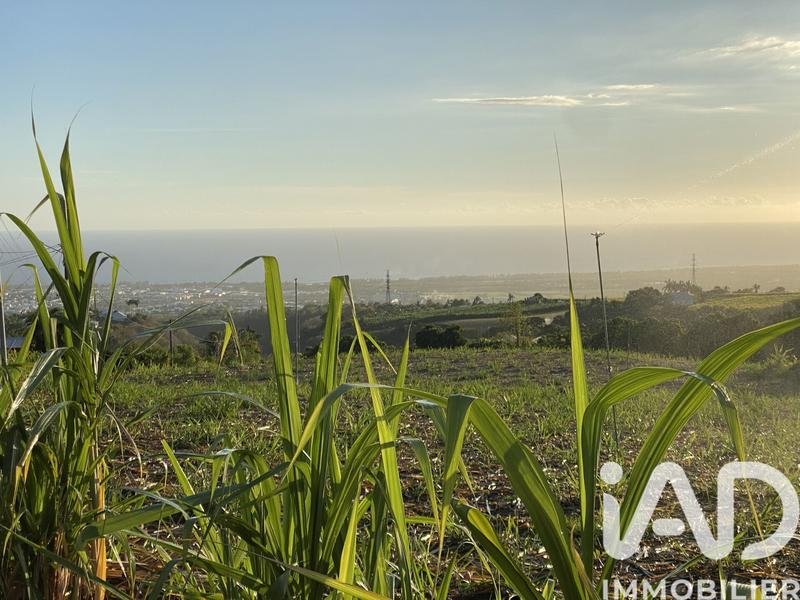 Maison - 100 m² - 3 pièces