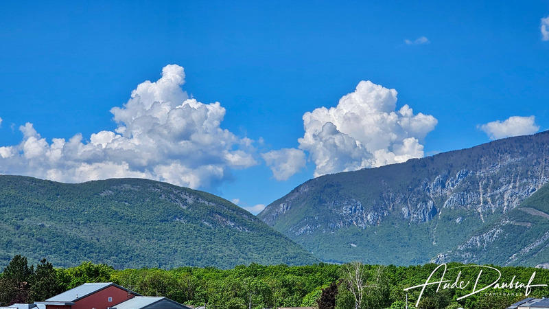 Appartement - 88 m² - 4 pièces