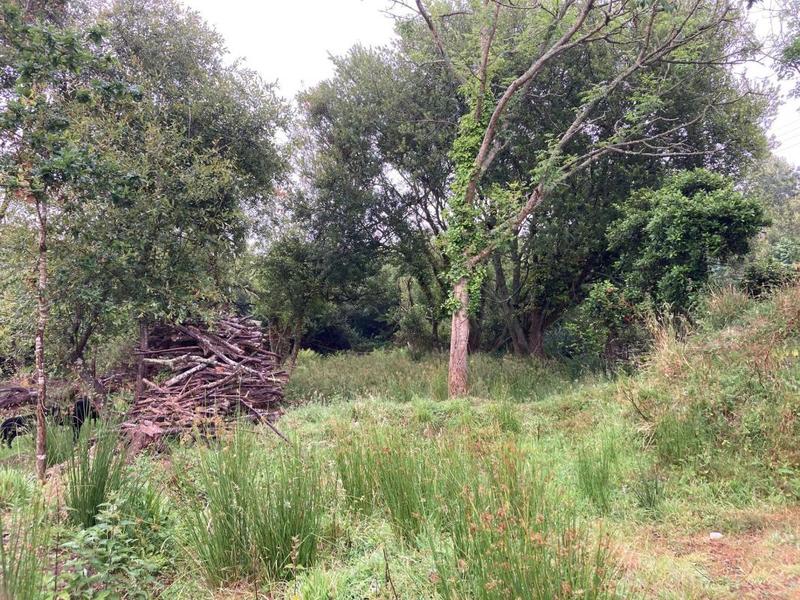 Maison - 137 m² - 5 pièces