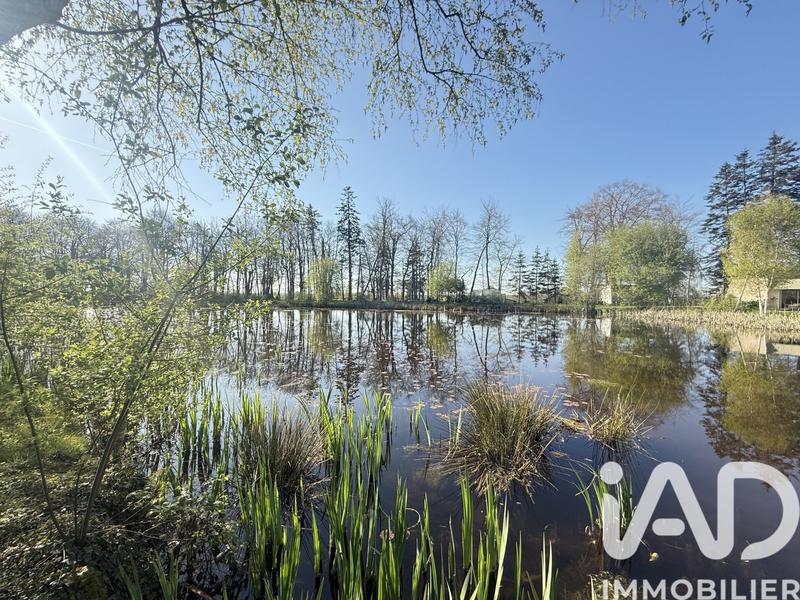 Maison de maîtres - 341 m² - 9 pièces