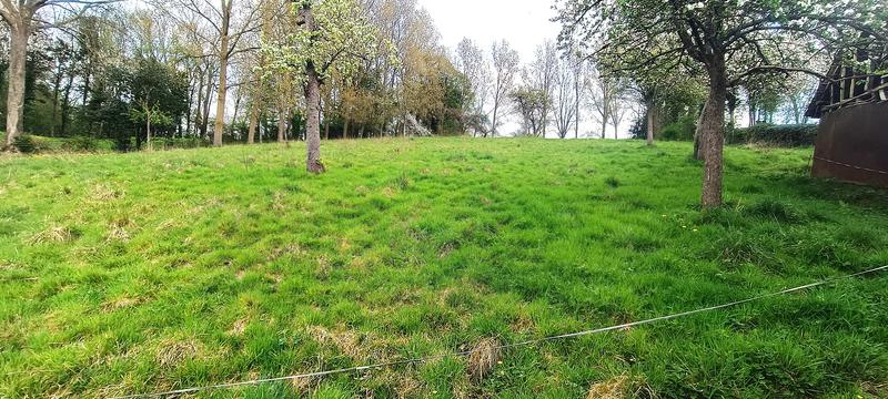 Corps de ferme - 235 m² - 8 pièces