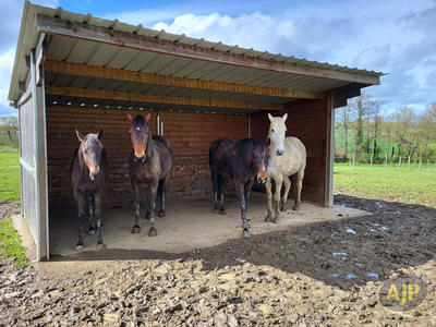 Maison - 139 m² - 5 pièces