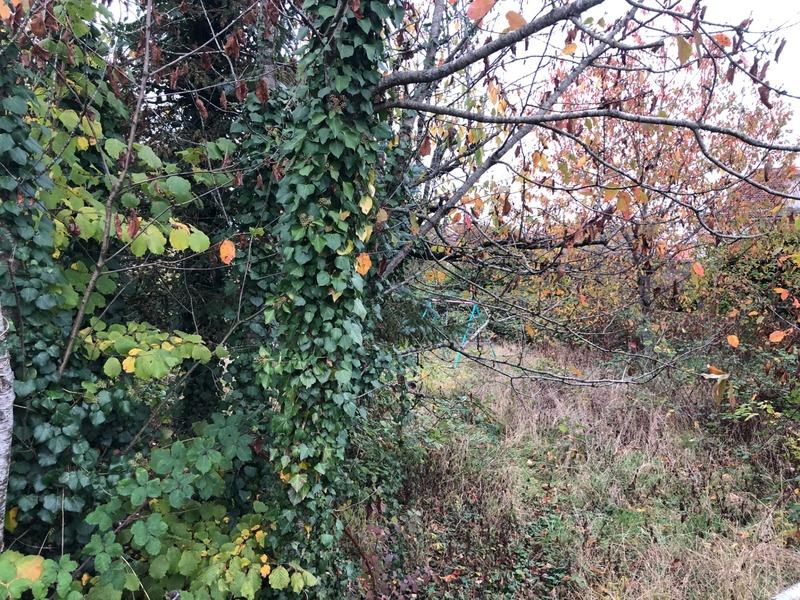 Terrain constructible - 900 m²