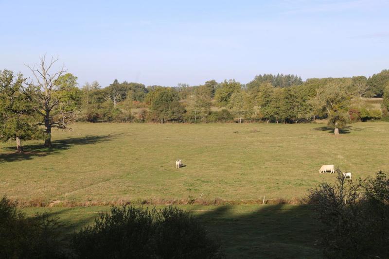 Maison bourgeoise - 300 m² - 12 pièces