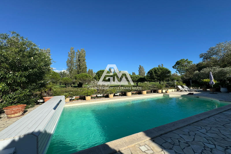 Maison - 225 m² - 6 pièces