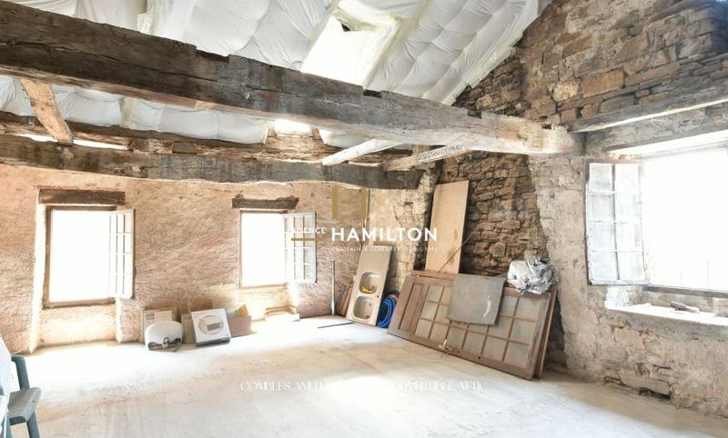 Immeuble mixte - 619 m² - 18 pièces