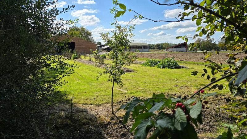 Maison - 136 m² - 7 pièces