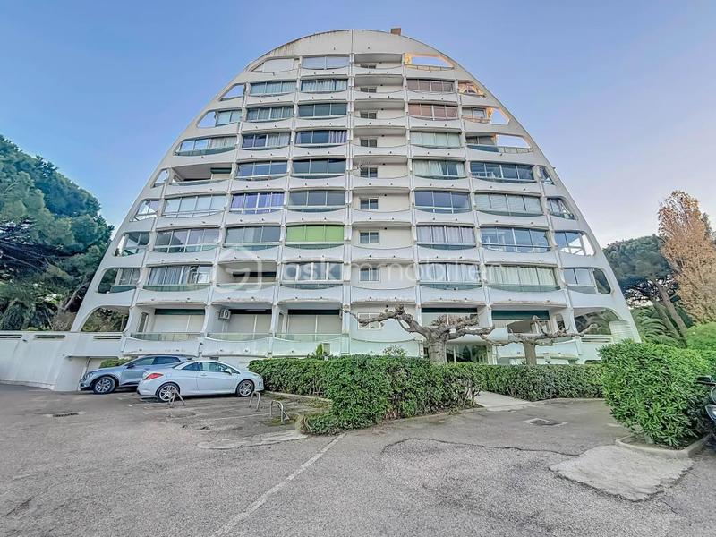 Studio - 32 m² - 1 pièce