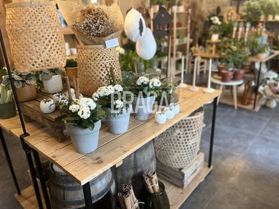 Fonds de commerce - Magasins - 120 m²