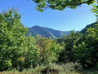 Maison - 250 m² - 6 pièces