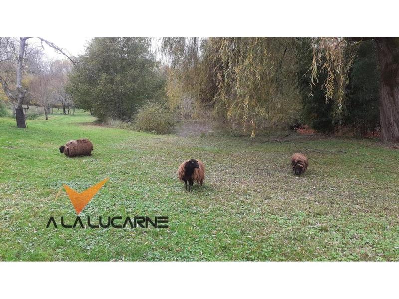 Moulin - 134 m² - 4 pièces