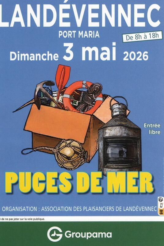 1ère puces de mer