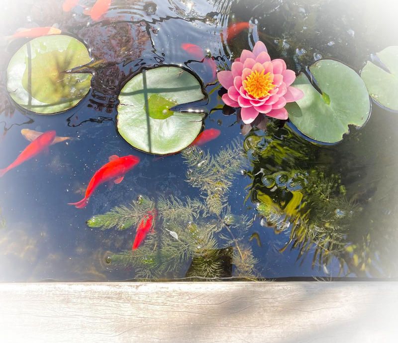 Loft - 275 m² - 5 pièces