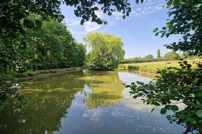 Maison - 216 m² - 6 pièces