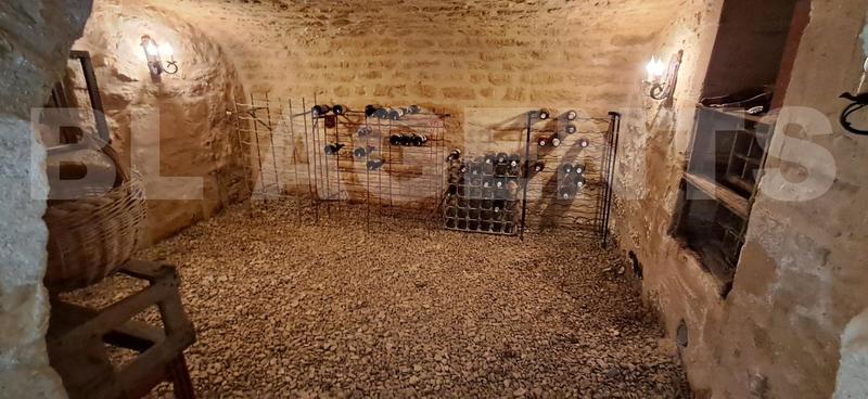 Maison - 256 m² - 12 pièces