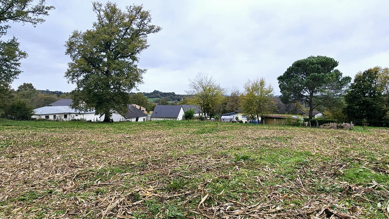 Terrain - 4 350 m²