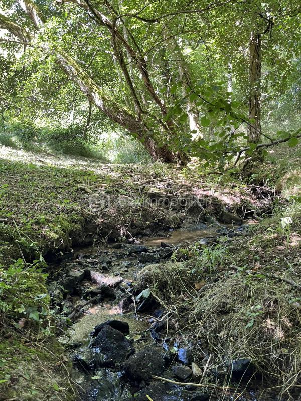 Maison d'architecte - 220 m² - 9 pièces