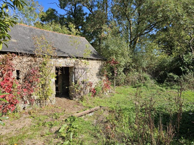 Maison de campagne - 85 m² - 3 pièces